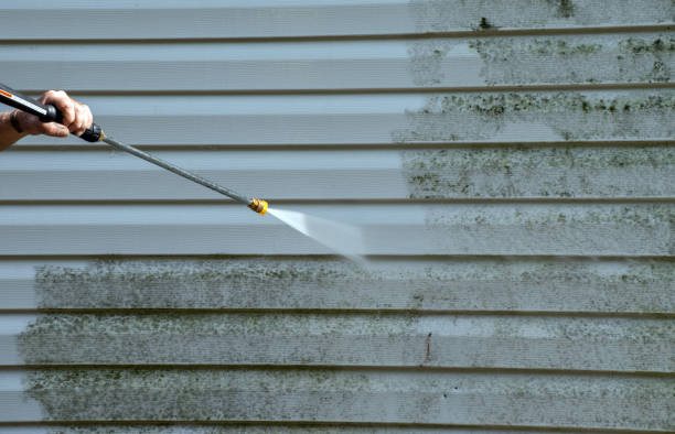 Best Affordable Power Washing  in Water Valley, MS